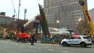 Cincinnati's iconic Christmas tree returns to Fountain Square