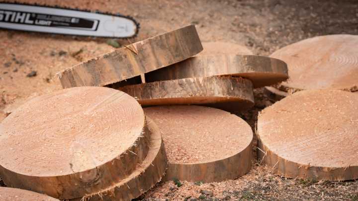 2 dead after logging accidents in Lane, Douglas counties