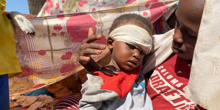 La ONU denunció los asesinatos masivos, torturas y violaciones perpetrados por los paramilitares FAR en Sudán