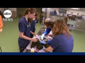 Zoo offers rare look at animal medical treatment