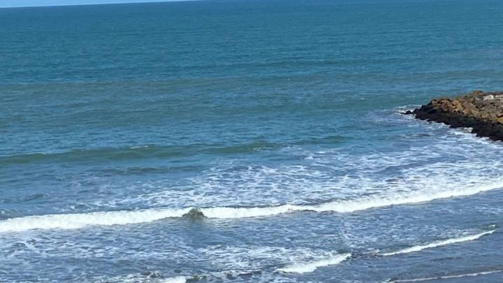 Mar del Plata se prepara para el calor extremo: la temperatura del mar hoy es de 15.7°C y seguirá aumentando