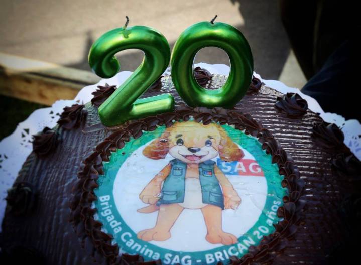 Brigada Canina del SAG celebra 20 años protegiendo la frontera y la sanidad agropecuaria del país