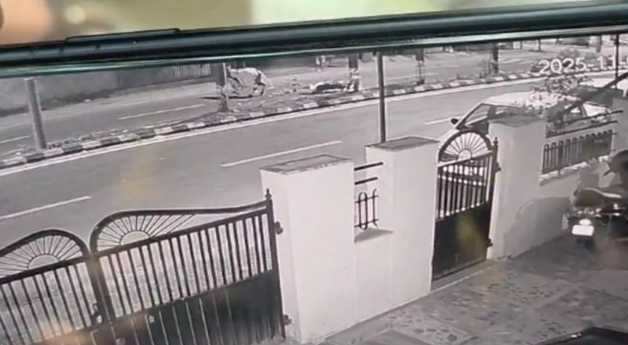 Stray cattle menace turns fatal in Vadodara: Biker dies, another injured