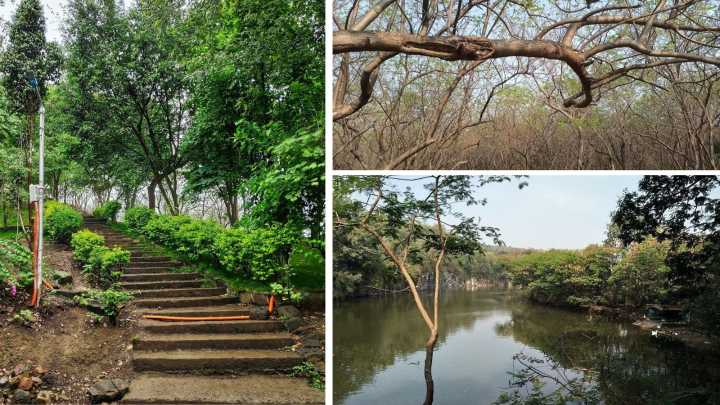 Scenic Hill Walks in Pune You Can’t Miss This Season