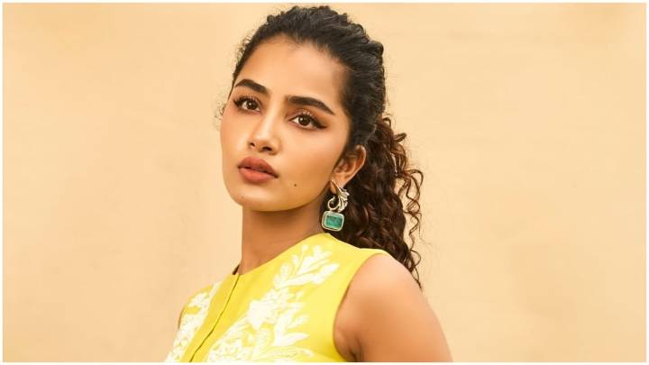 Anupama Parameswaran files cyber case after 20