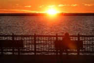 Letters: Readers and the Tribune opinion team have thanks to give