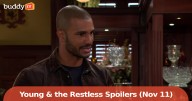 Young and the Restless spoilers: Nov. 11 turns in L.A.