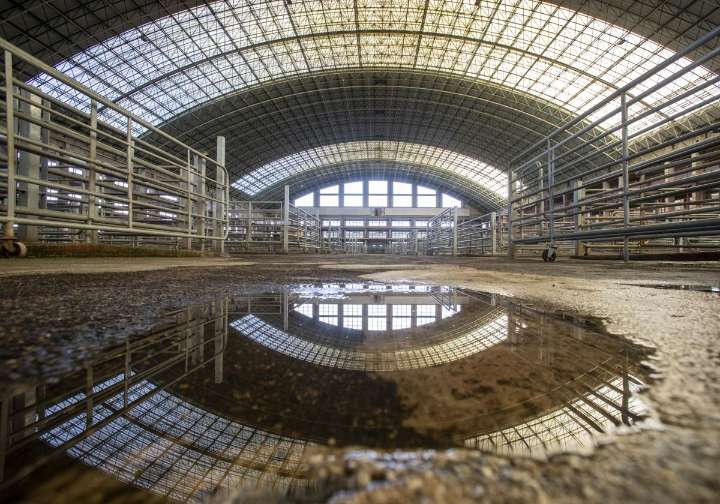 Cantabria inicia la desescalada y reabrirá para uso interno el Mercado Nacional de Ganados