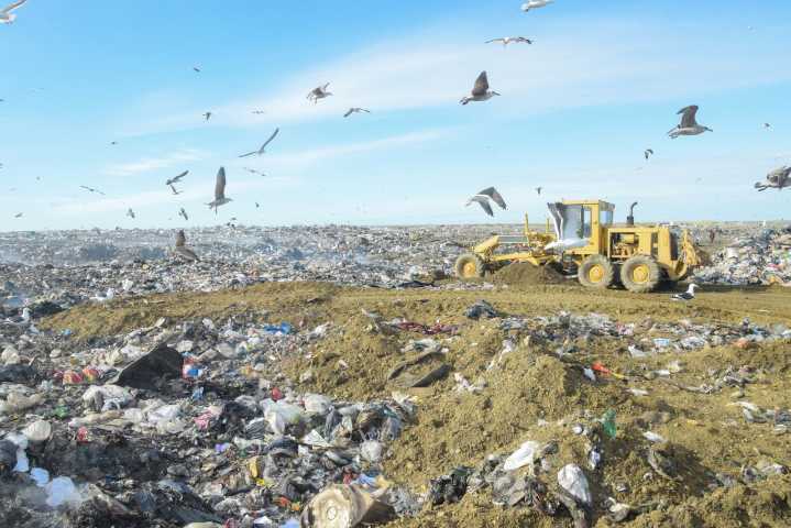 Más detalles del lamentable hallazgo en el vaciadero municipal de Río Gallegos: la policía investiga las causas del deceso