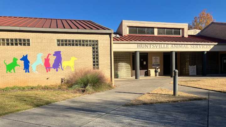 What’s going so right at Huntsville Animal Services? ‘I feel like I’m living in a dream’