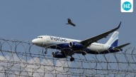 Indigo flight from Mumbai suffers bird hit in Rishikesh; aircraft damaged