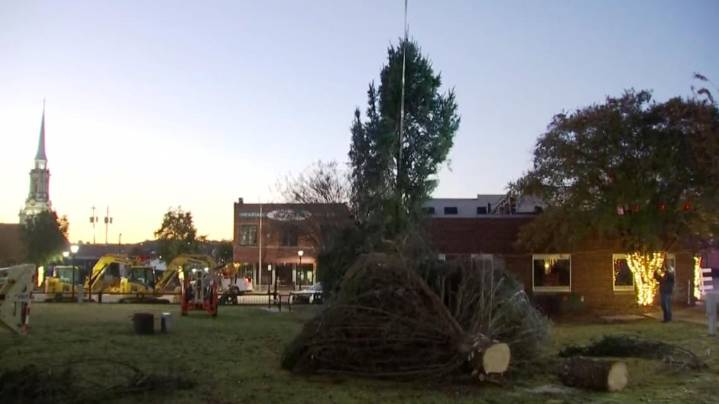 Gwinnett Christmas tree OK after snapping during installation, county says
