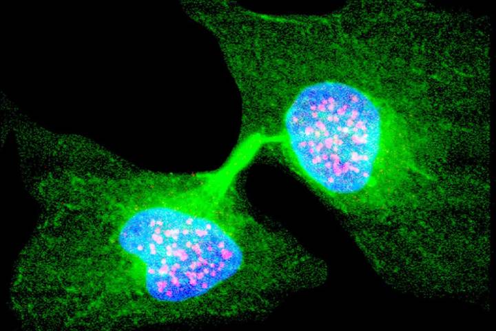 We may need a fourth law of thermodynamics for living systems