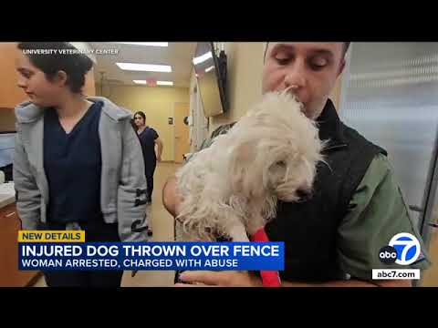 Woman arrested after video shows dog being thrown over fence in plastic bag in California