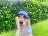 Birmingham’s most popular dog + cat names in 2025