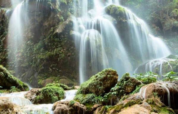 Conservación exitosa: 3 áreas protegidas de México