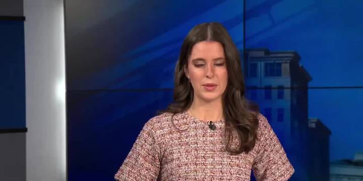 15 News+ for Tuesday, November 11