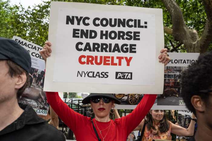 Saddle up for court: Why transit union is suing animal rights group over the NYC horse carriage industry fight