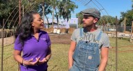A local farmer says he’s being blocked from expanding urban farm, city disagrees