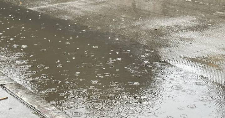 Empapados pero en Disneyland