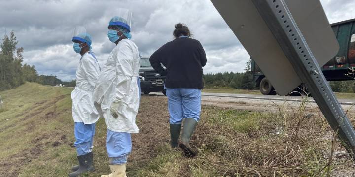The last monkey on the loose among several that escaped after a Mississippi highway crash has been found and captured
