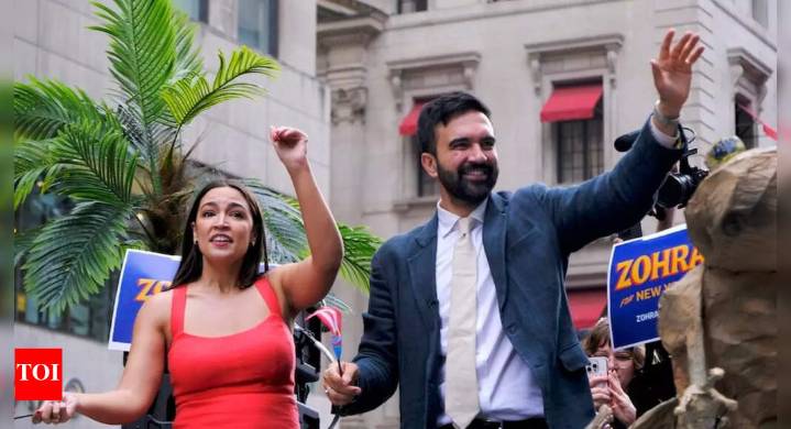 Why Democrats should be wary of over-reading the Zohran Mamdani's New York win