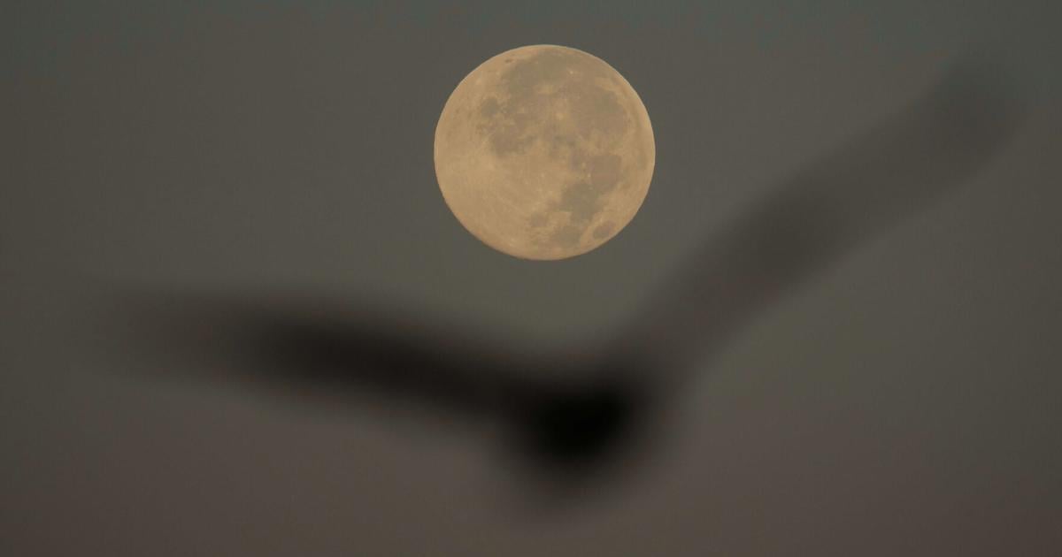 How to spot November's supermoon, the closest of the year