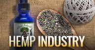 New hemp registry aims for transparency in Oregon's market