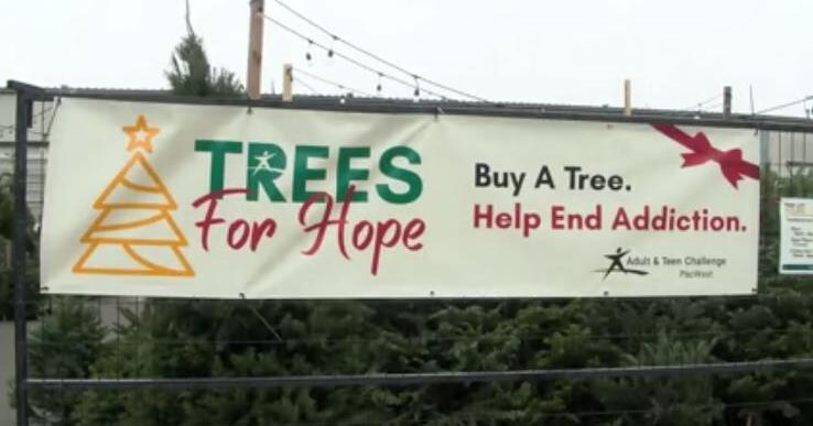 Local tree lot in Springfield funds recovery, aids families