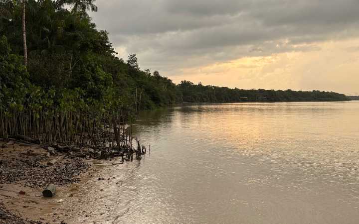 La Amazonía quilombola: un bosque preservado que exige justicia territorial