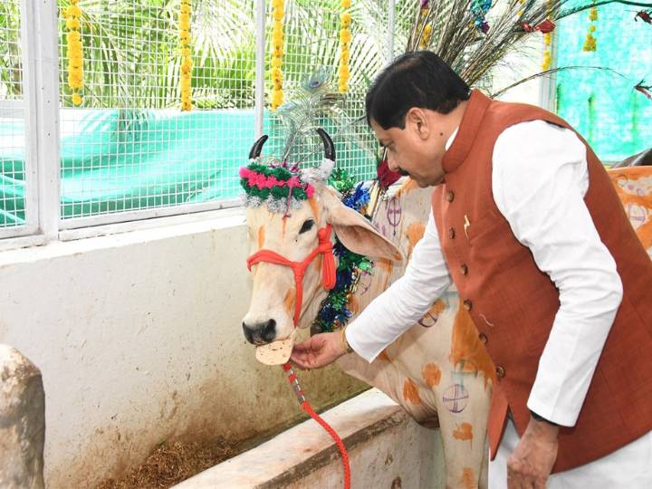 India's Women Cricketers Make History with World Cup Win