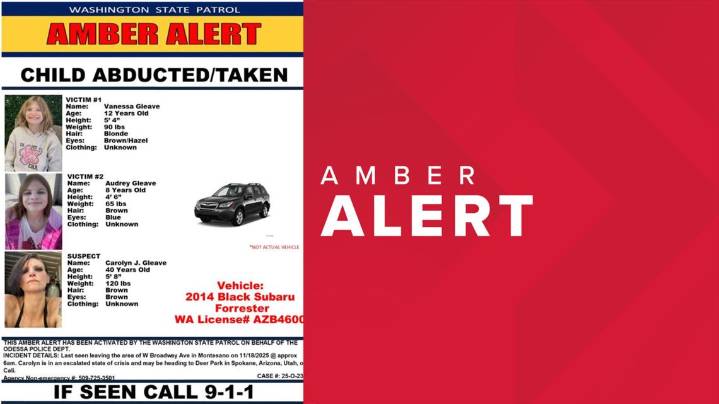 Amber Alert issued for two girls believed to be abducted, last seen near Montesano