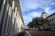 AI in Florida insurance must be 'used responsibly,' official says