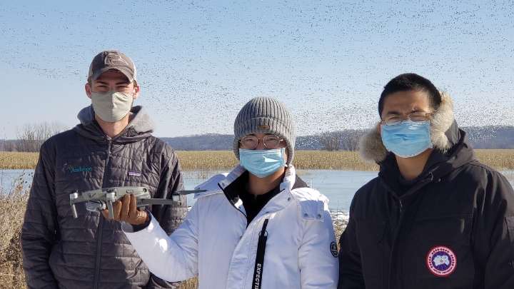 Ducks, drones and AI: Missouri scientists test new method for counting waterfowl