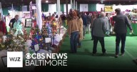 Festival of Trees brings families together for annual tradition