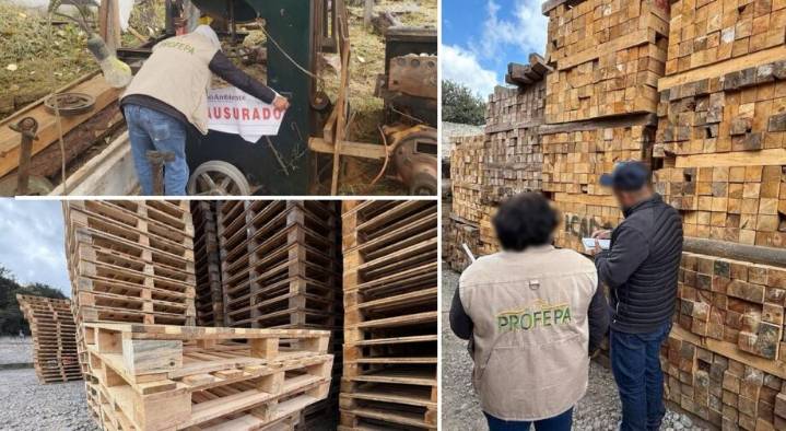 Profepa clausura aserradero ilegal en Agua Blanca, Hidalgo