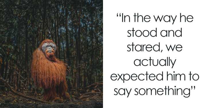 49 Stunning Animal Photos That Might Brighten Your Day