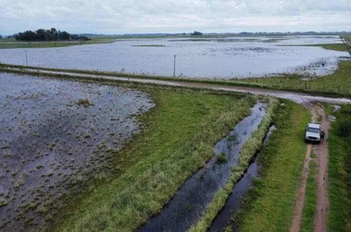 Declararon la emergencia agropecuaria en zonas de Entre Ríos, Buenos Aires y Río Negro
