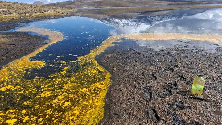 Cierran sector Chungará del Parque Nacional Lauca tras derrame de 25 mil litros de aceite: Hay afectación en flora y fauna