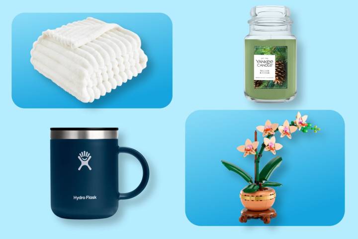 10 Best White Elephant Gifts Under $25 at Amazon