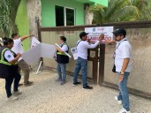 Clausuran banco de materiales por afectaciones al medio ambiente en la Zona Continental de Isla Mujeres