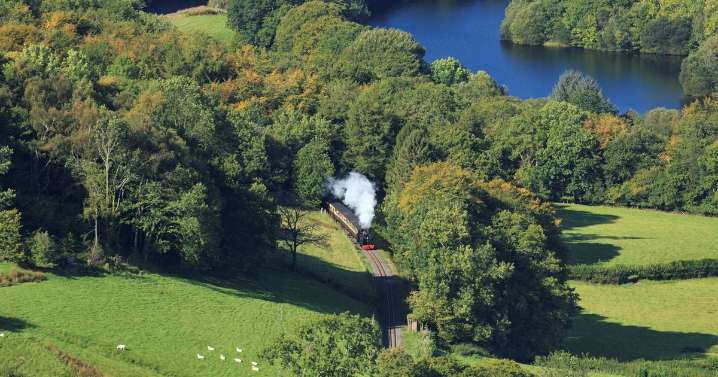 Magical Welsh forest feels like it's straight out of a storybook