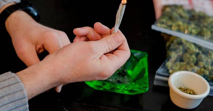 Marijuana linked to bouts of intense vomiting among some longtime users