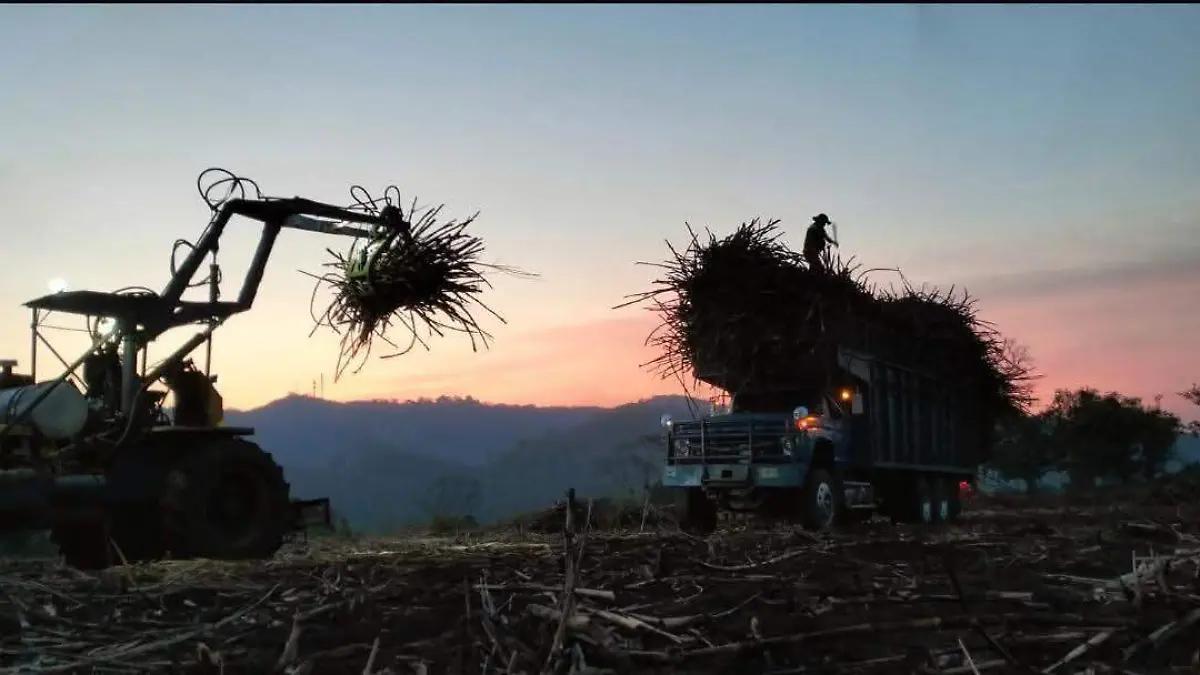 Arranca 18 ingenios veracruzanos la zafra 2025-2026; se espera generación de empleos