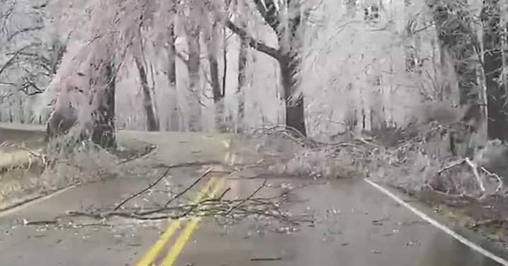 Mid-South's first cold freeze of the season on the way
