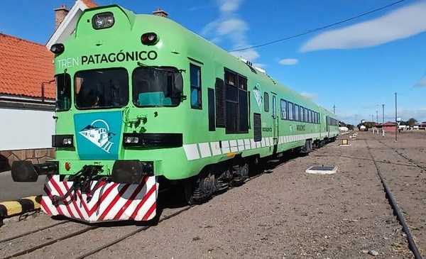 Cómo es el recorrido del Tren Patagónico: ideal para los fans de la naturaleza
