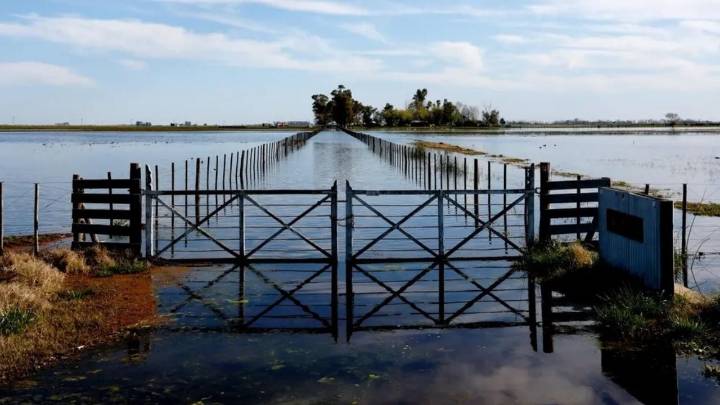 Obras del Salado: productores le exigen a Nación la reactivación plena de un tramo