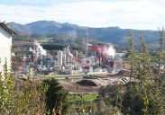 Ence justifica los 97 despidos que plantea en Navia por la caída del mercado europeo