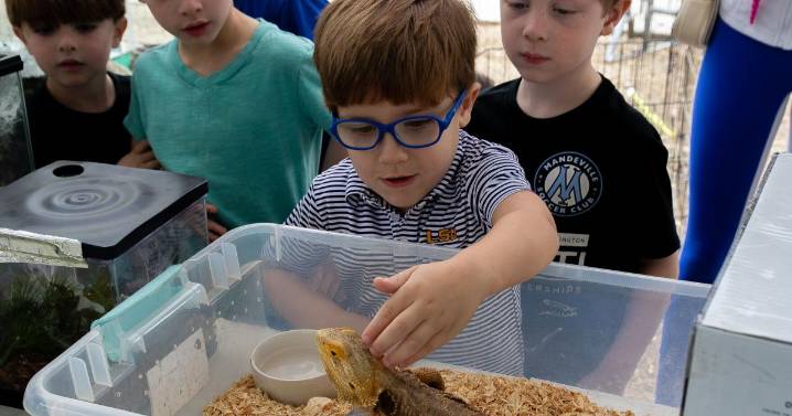 Mandeville fest doesn't let rain wash out all the fun