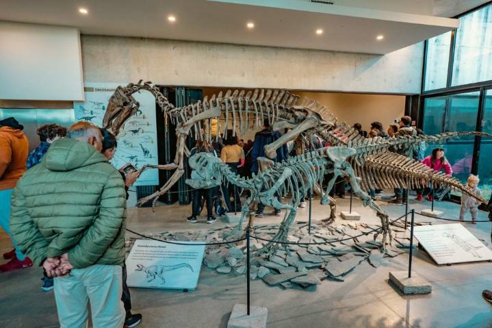 Muestra y visita guiada para celebrar el 58° aniversario del Museo Scaglia